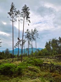 sch&ouml;ner Ausblick