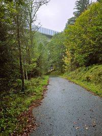 einmal unter der A17 durch